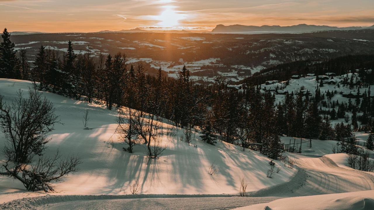 Danebu Kongsgaard - Boutique Hotel Aurdal Экстерьер фото